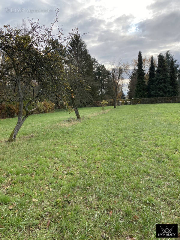 Terrain à HANDSCHUHEIM