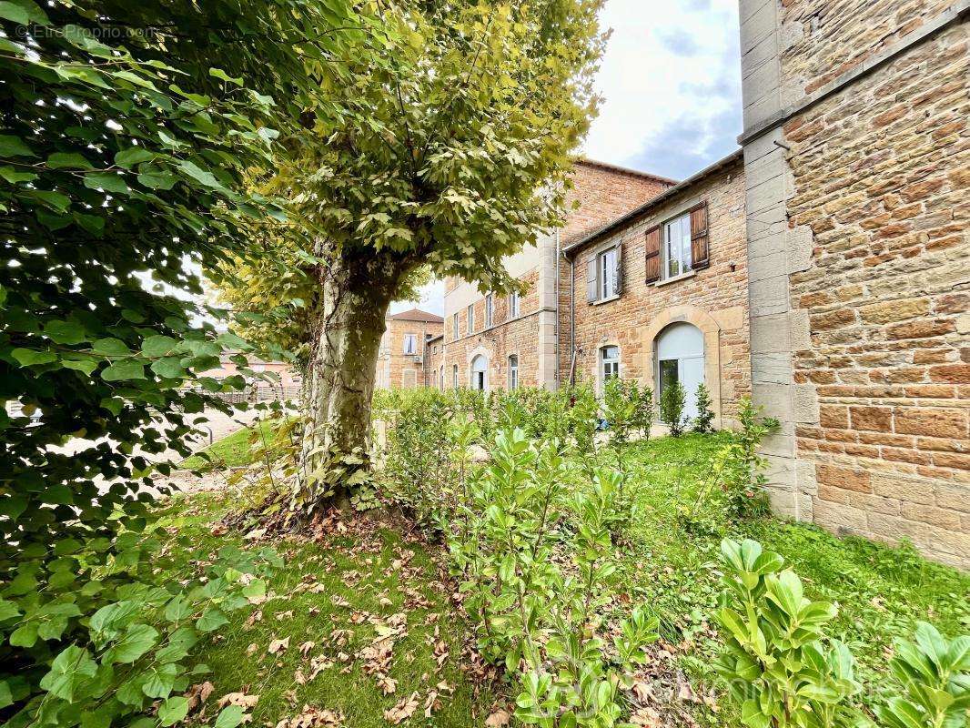 Appartement à CRECHES-SUR-SAONE