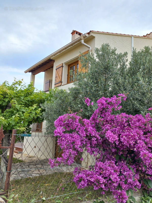 Maison à TOULOUGES