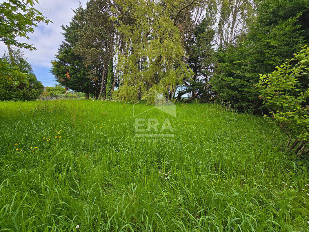 Terrain à WIERRE-EFFROY