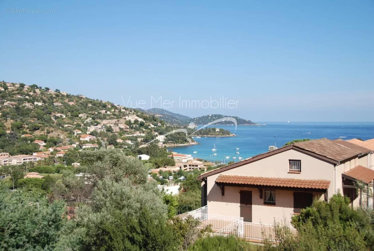 Terrain à LE LAVANDOU