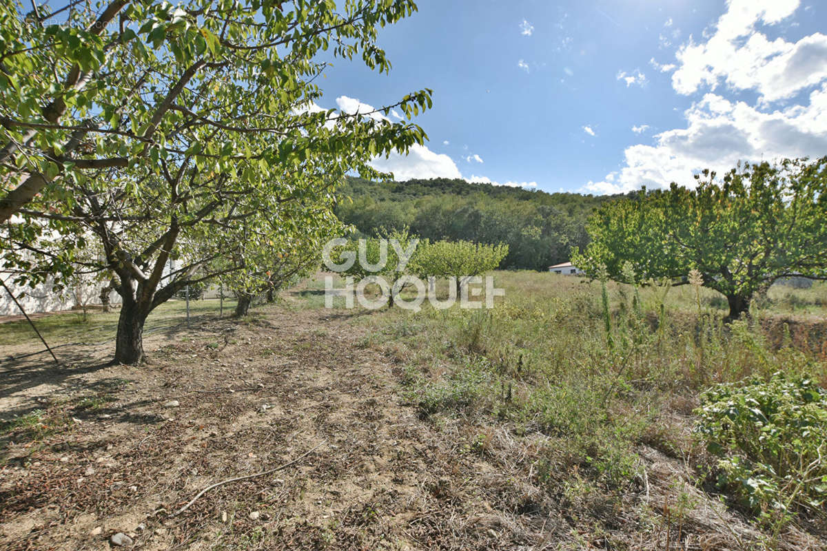 Terrain à LE BOULOU