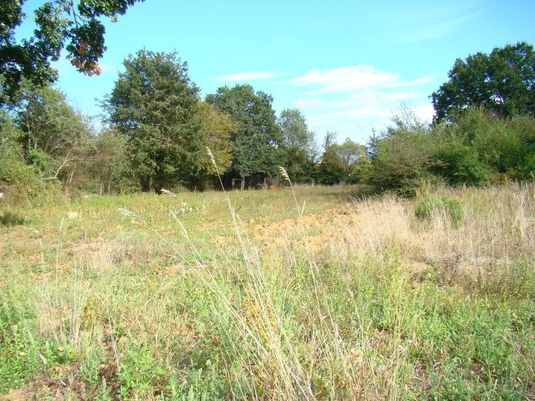 Terrain à LA FERRIERE-AIROUX