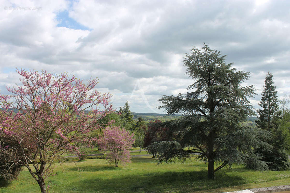 Appartement à MONTRICHARD