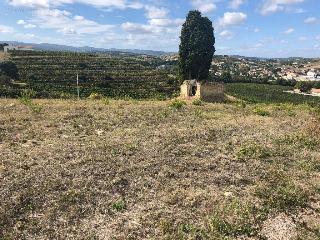 Terrain à LIMOUX