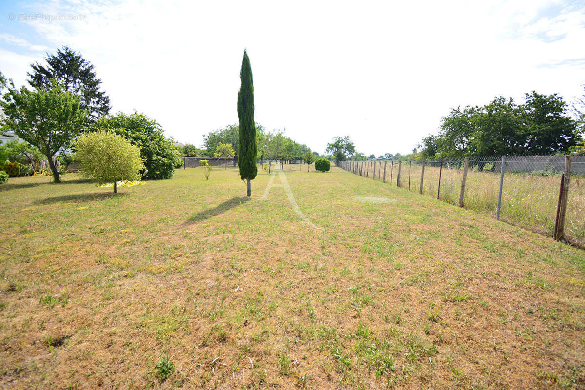 Terrain à DOUE-LA-FONTAINE