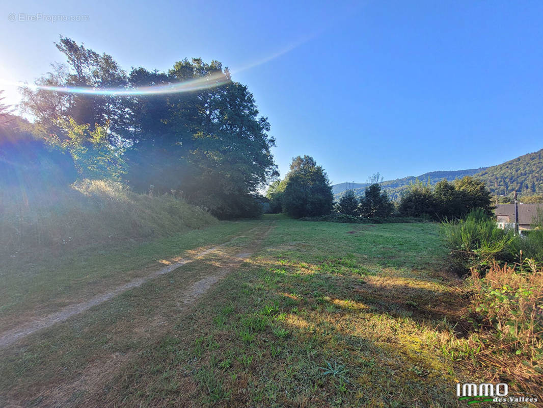 Terrain à THIEFOSSE