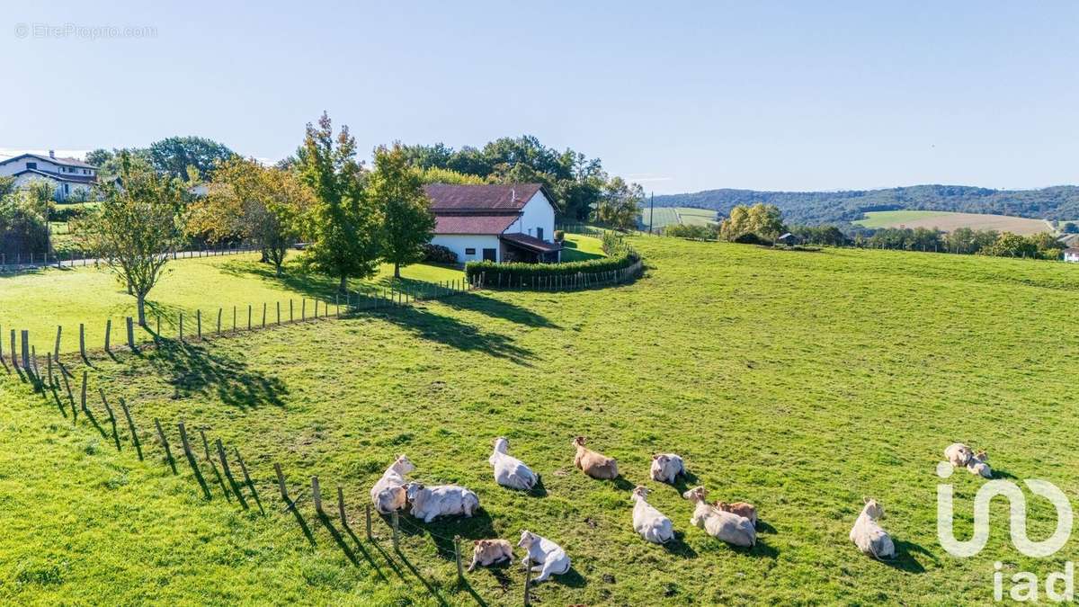 Photo 6 - Maison à BIDACHE