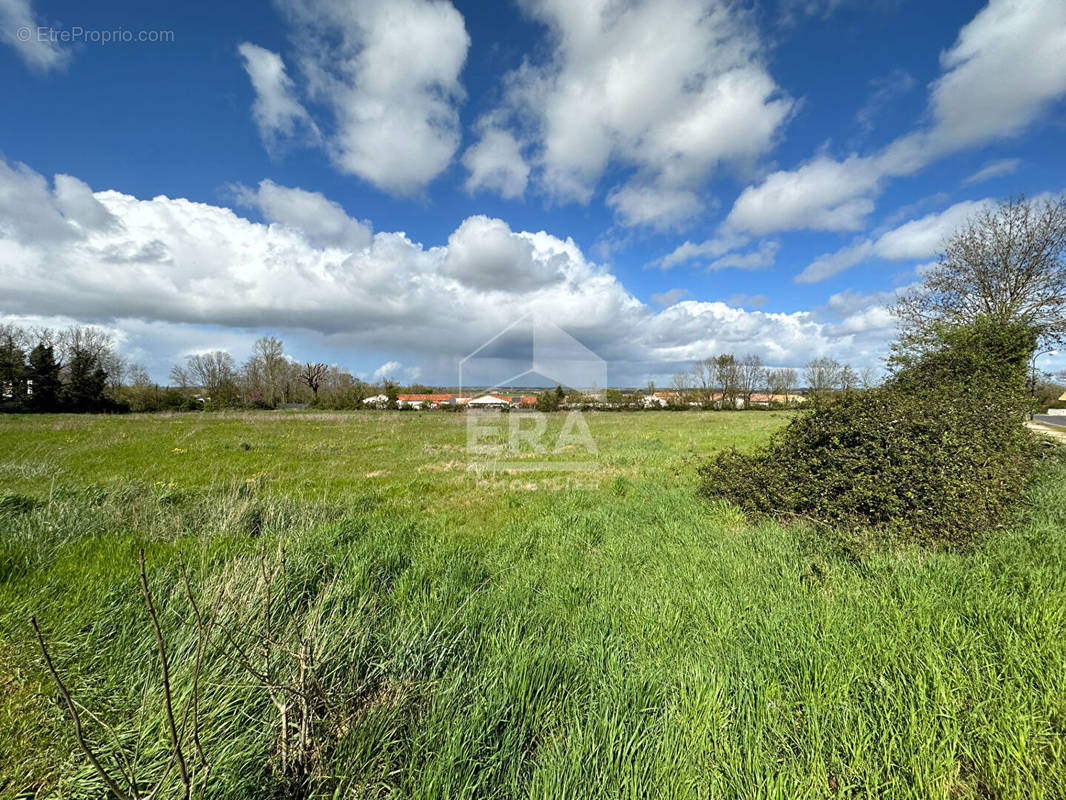 Terrain à CHAURAY