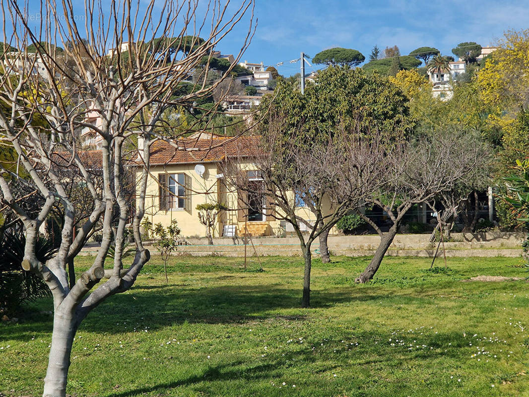 Terrain à CANNES