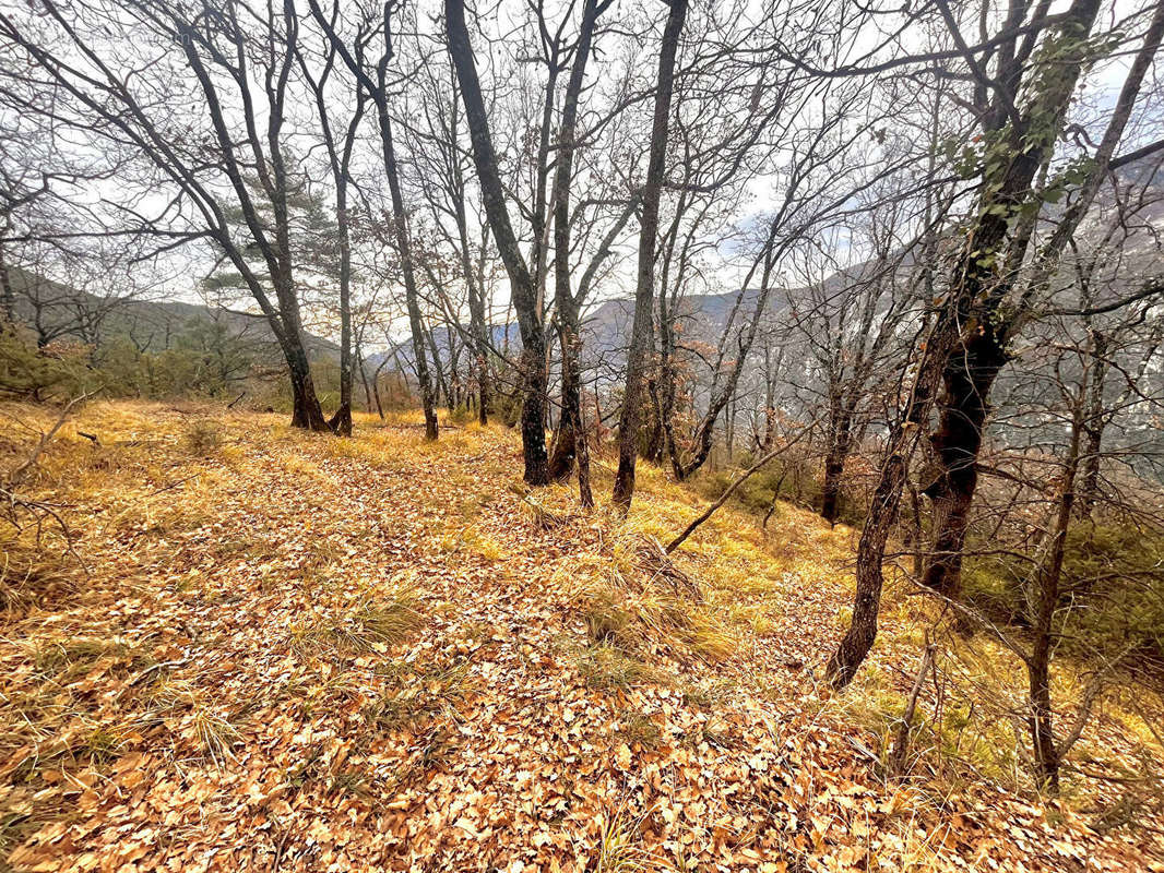 Terrain à CLANS