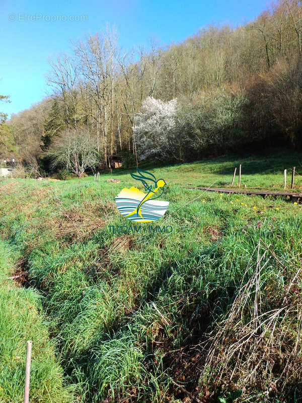 Terrain à SAINT-FAUST