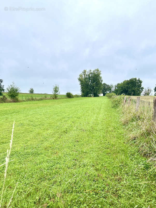 Terrain à MESNIL-SAINT-PERE