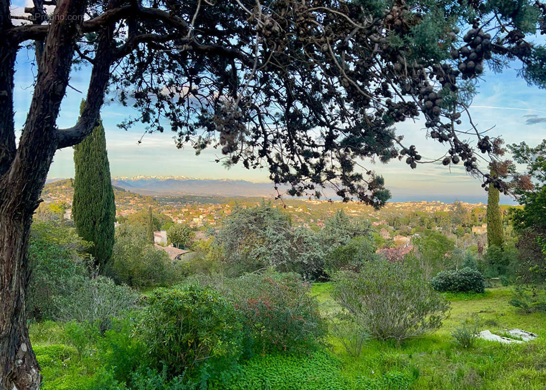 Terrain à VALLAURIS