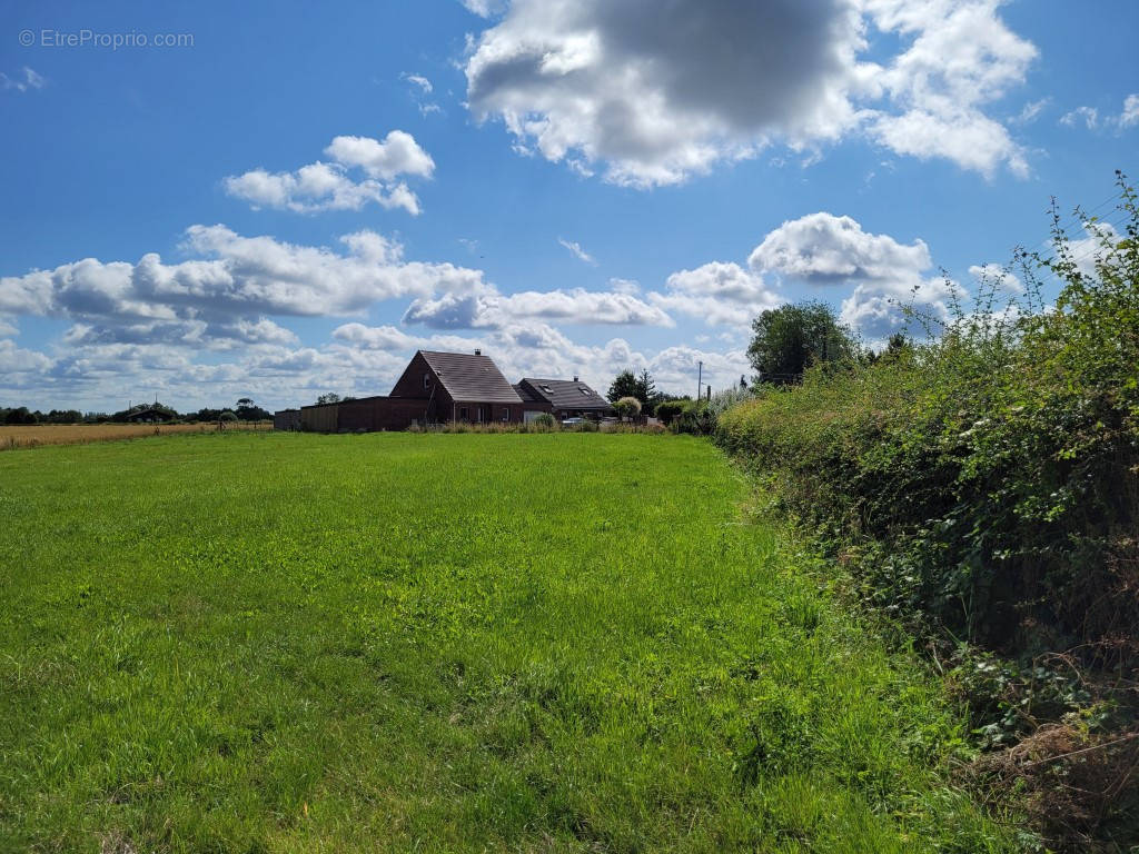 Terrain à AVESNES-SUR-HELPE