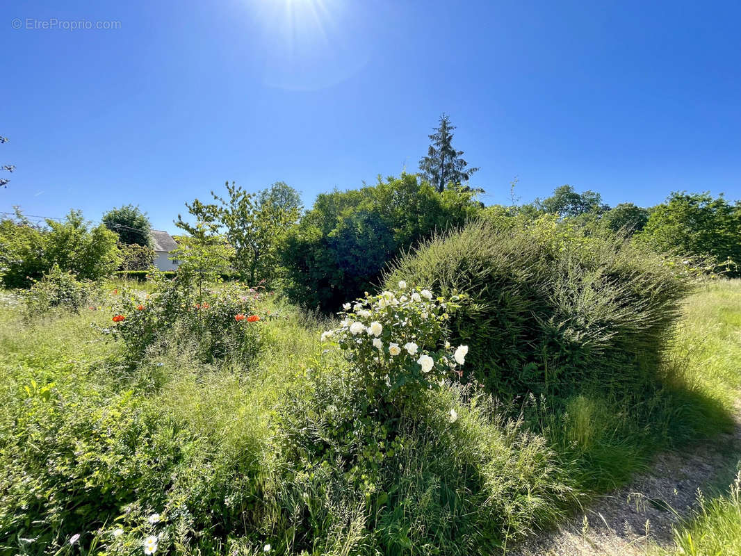 Terrain à COCHEREL