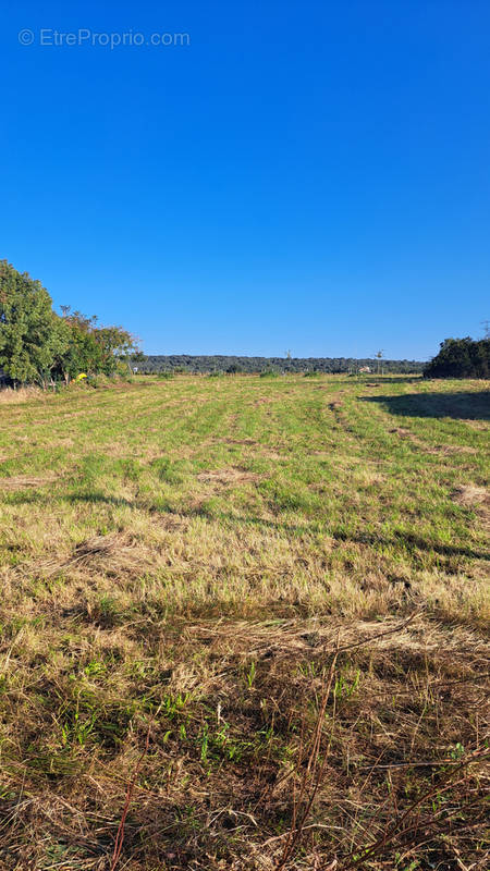 Terrain à BERRIAS-ET-CASTELJAU