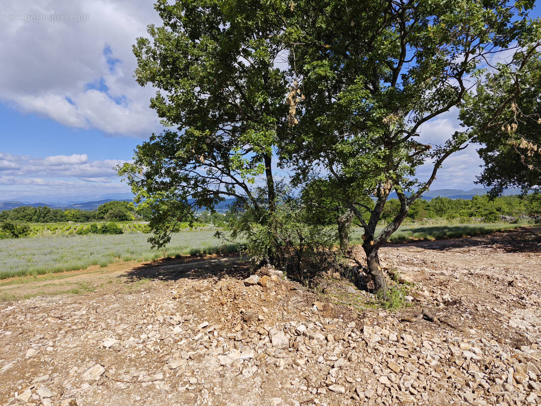 Terrain à BARJAC