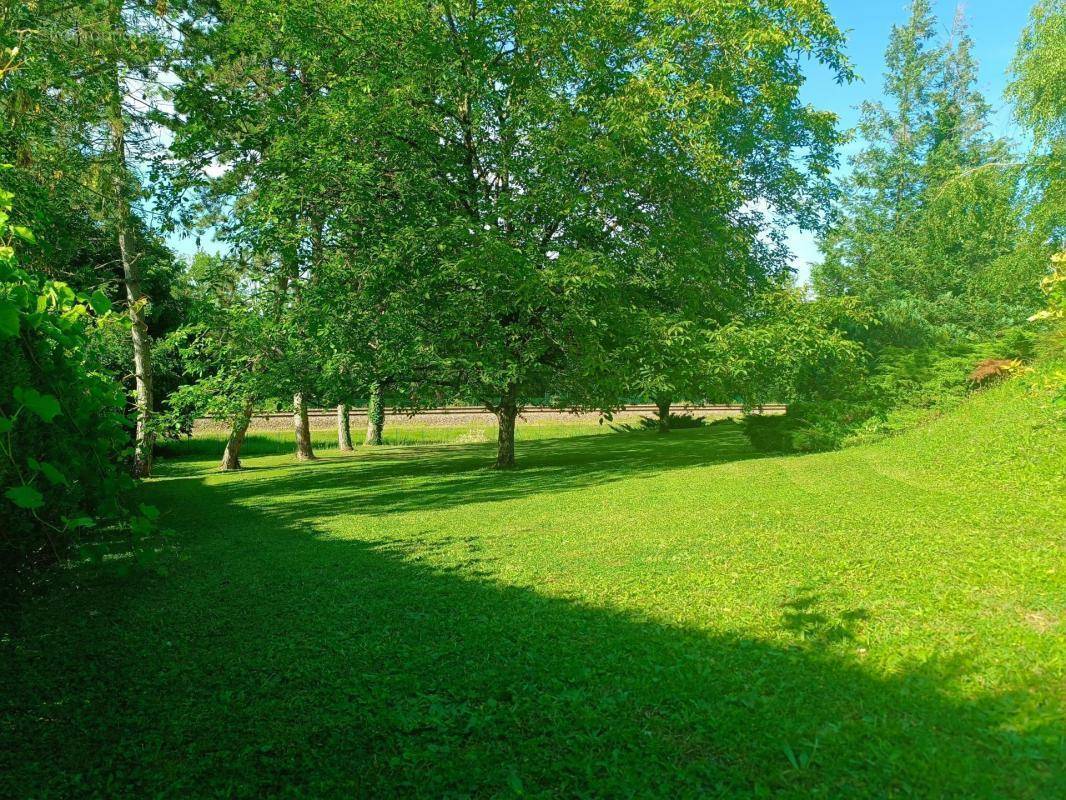 Terrain à MONTMOROT