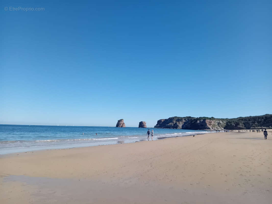 Appartement à HENDAYE