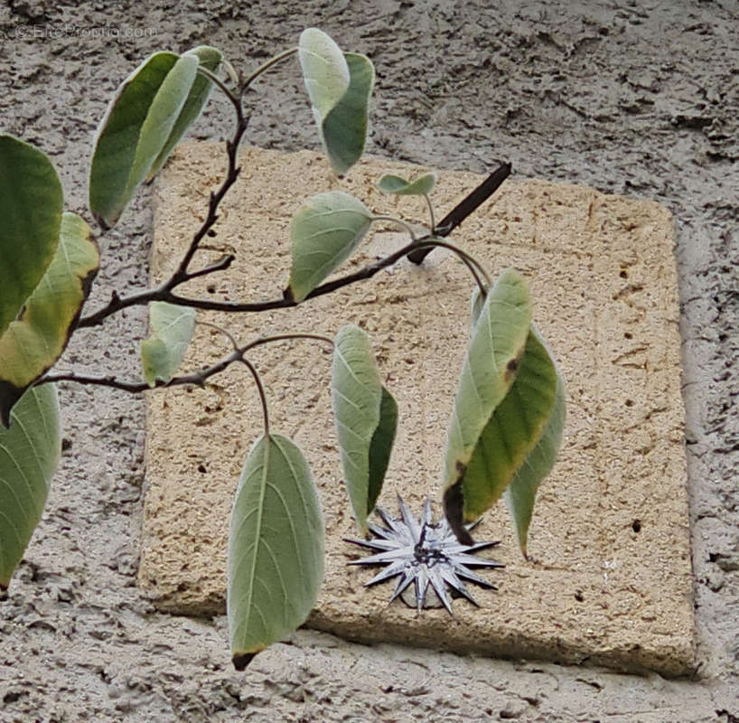 Maison à MOURIES