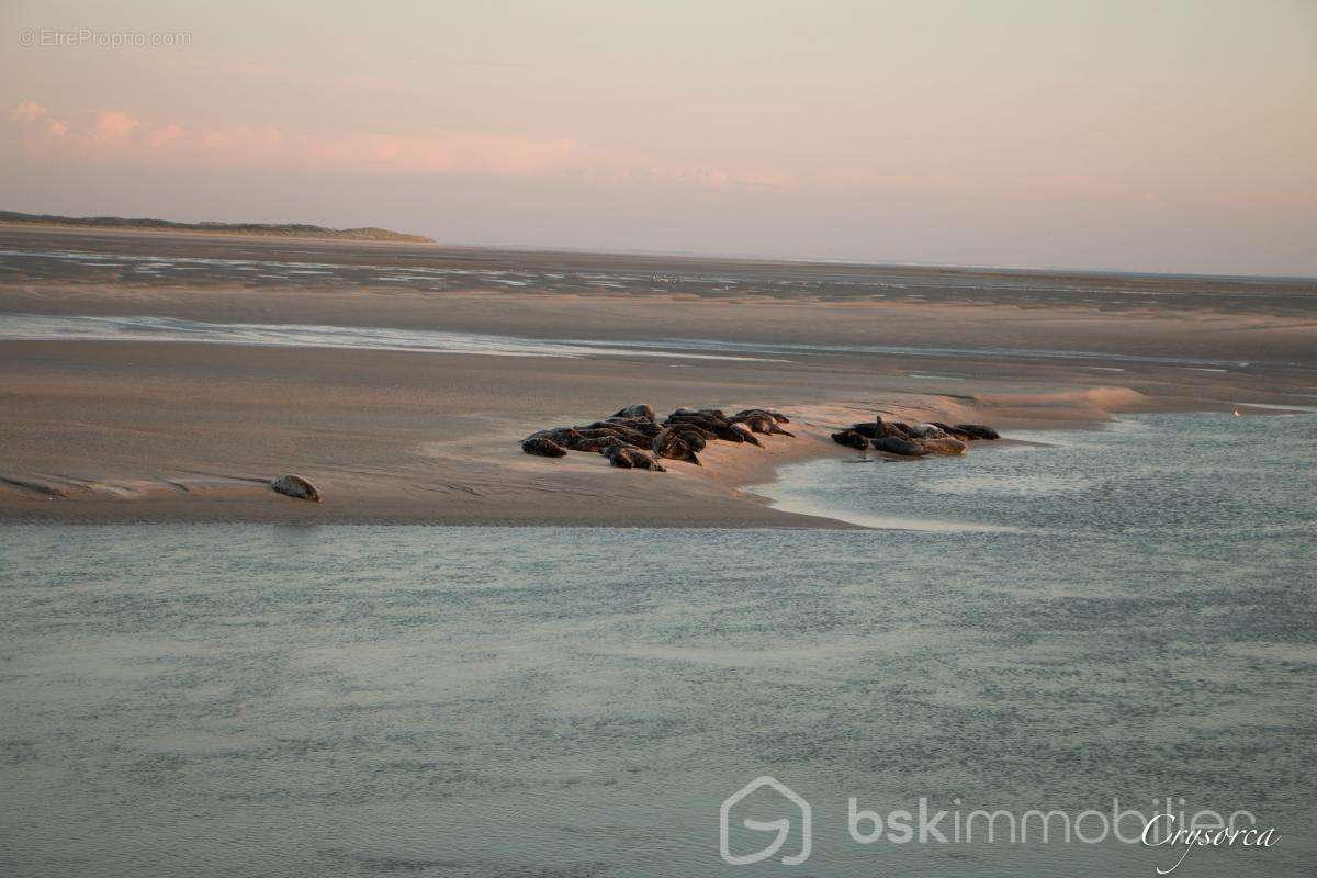 Appartement à BERCK