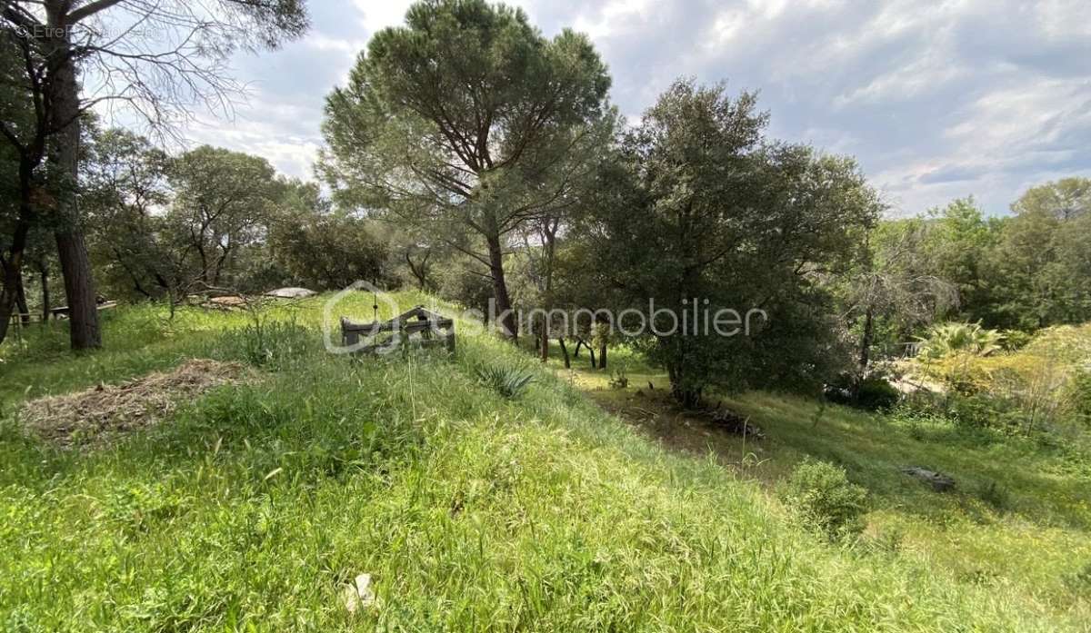 Maison à ROQUEBRUNE-SUR-ARGENS