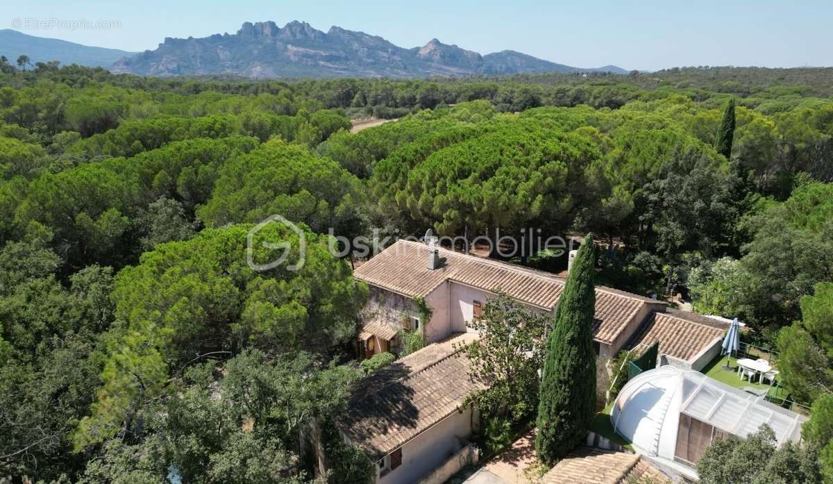 Maison à ROQUEBRUNE-SUR-ARGENS