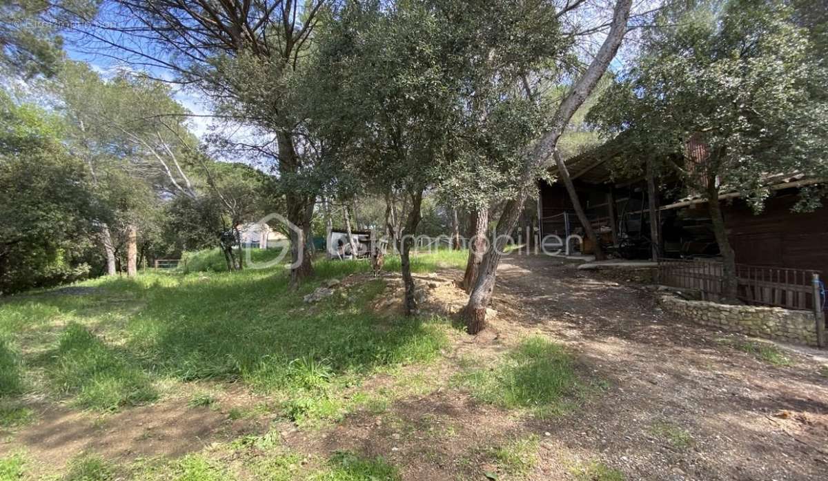 Maison à ROQUEBRUNE-SUR-ARGENS