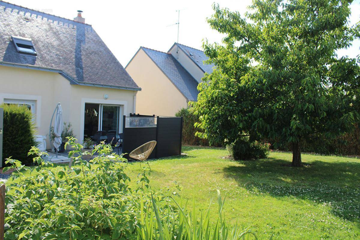 Maison à ANGERS