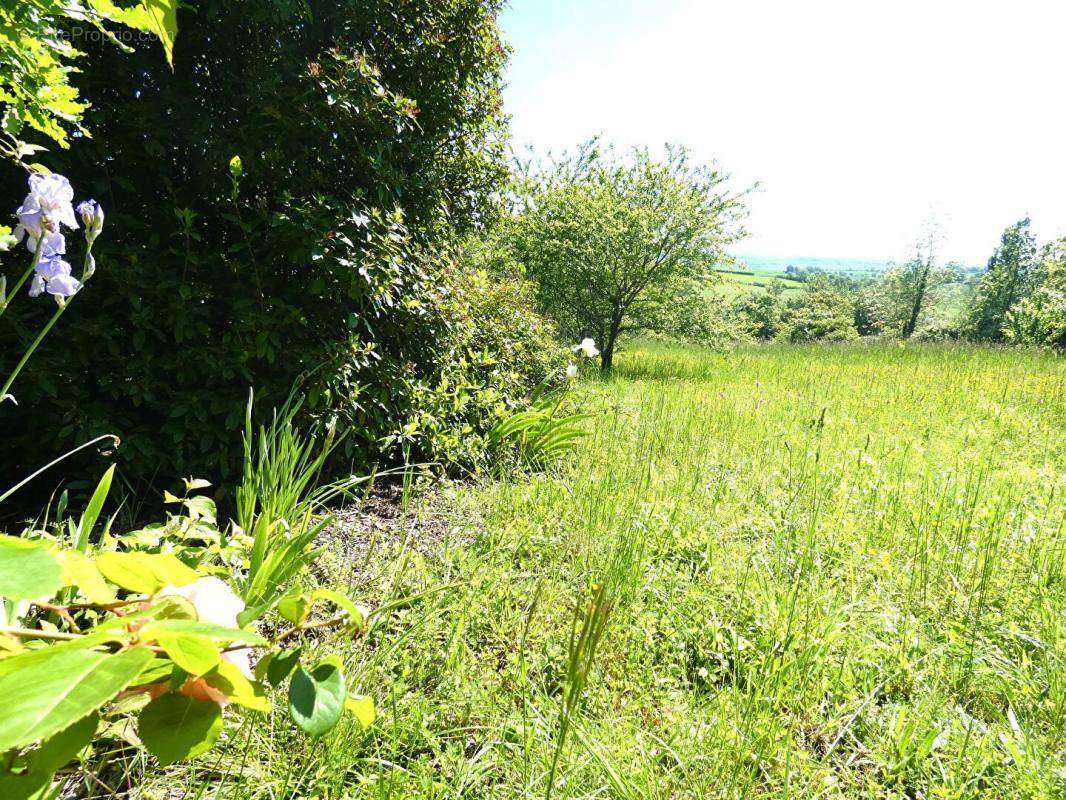 Terrain à PUYLAROQUE