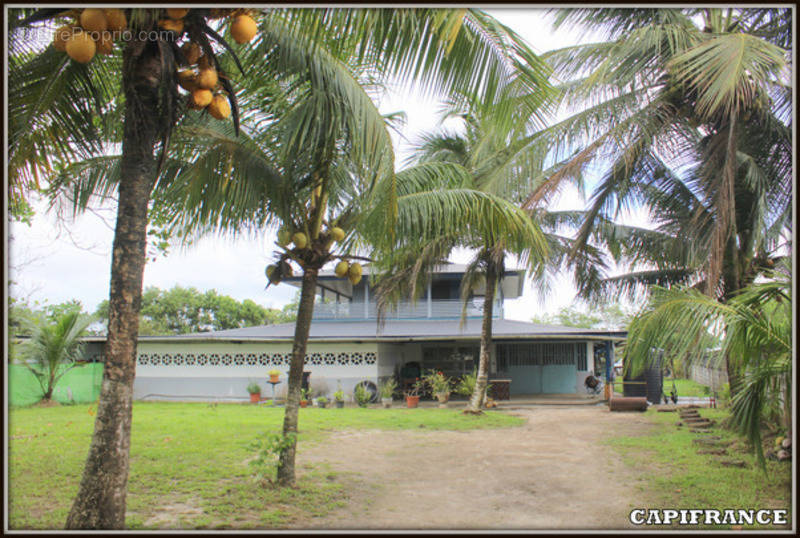 Appartement à KOUROU