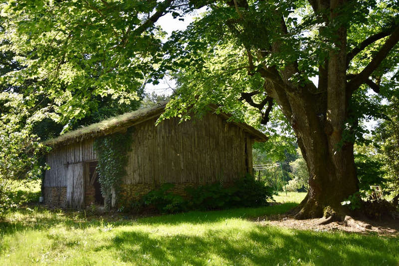 Maison à EAUZE