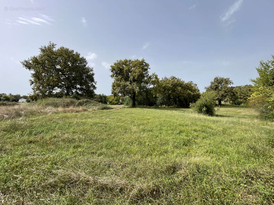 Terrain à SAINT-SULPICE-ET-CAMEYRAC