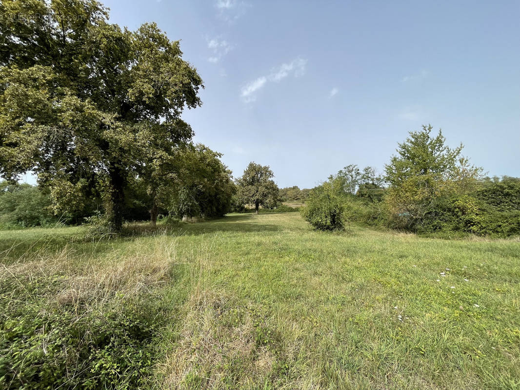 Terrain à SAINT-SULPICE-ET-CAMEYRAC