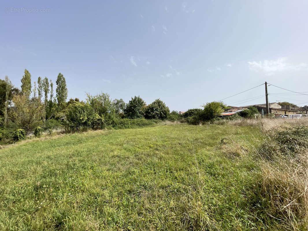 Terrain à SAINT-SULPICE-ET-CAMEYRAC