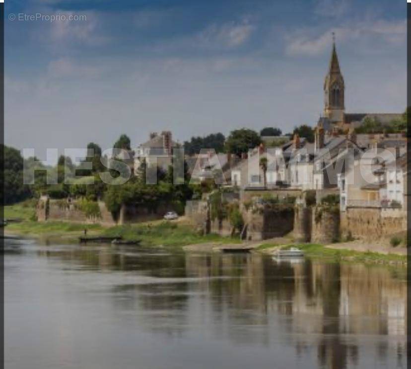 IMG_3773 - Terrain à LE FRESNE-SUR-LOIRE