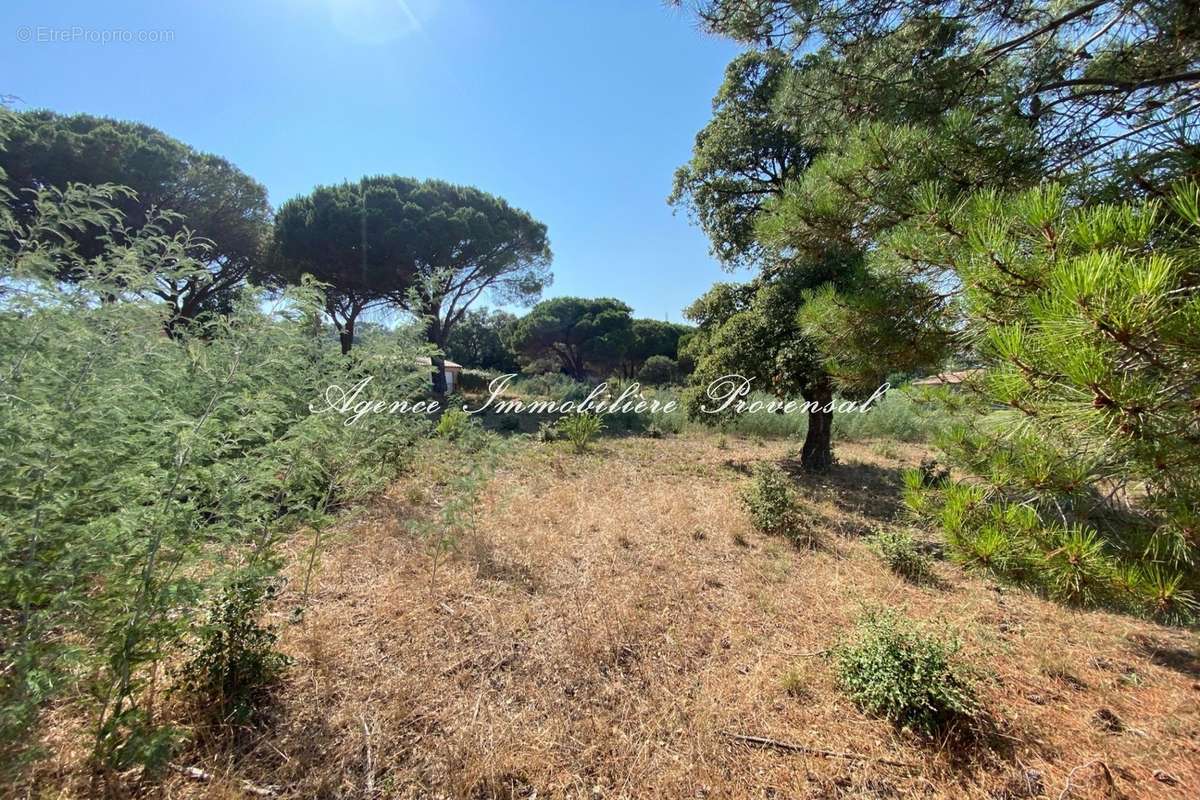 Terrain à SAINTE-MAXIME