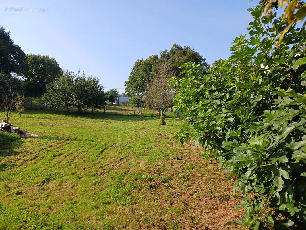 Terrain à PEAULE