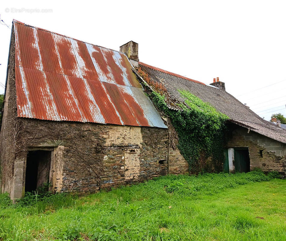 Maison à SAINT-DOLAY