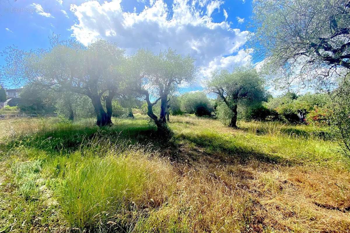 Terrain à OPIO