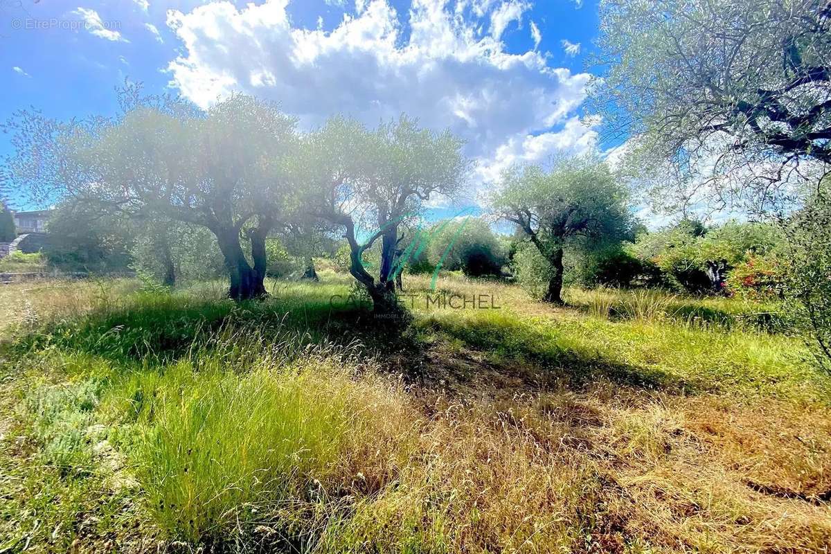 Terrain à OPIO