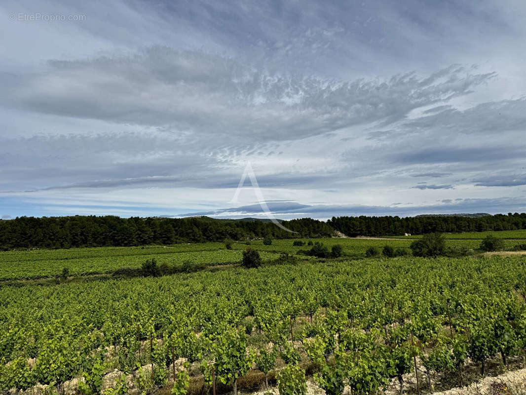 Terrain à SAINT-DREZERY