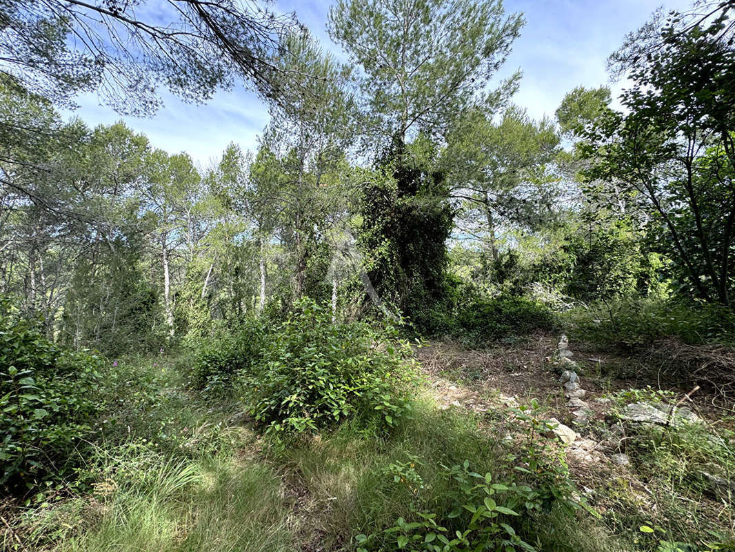 Terrain à SAINT-DREZERY