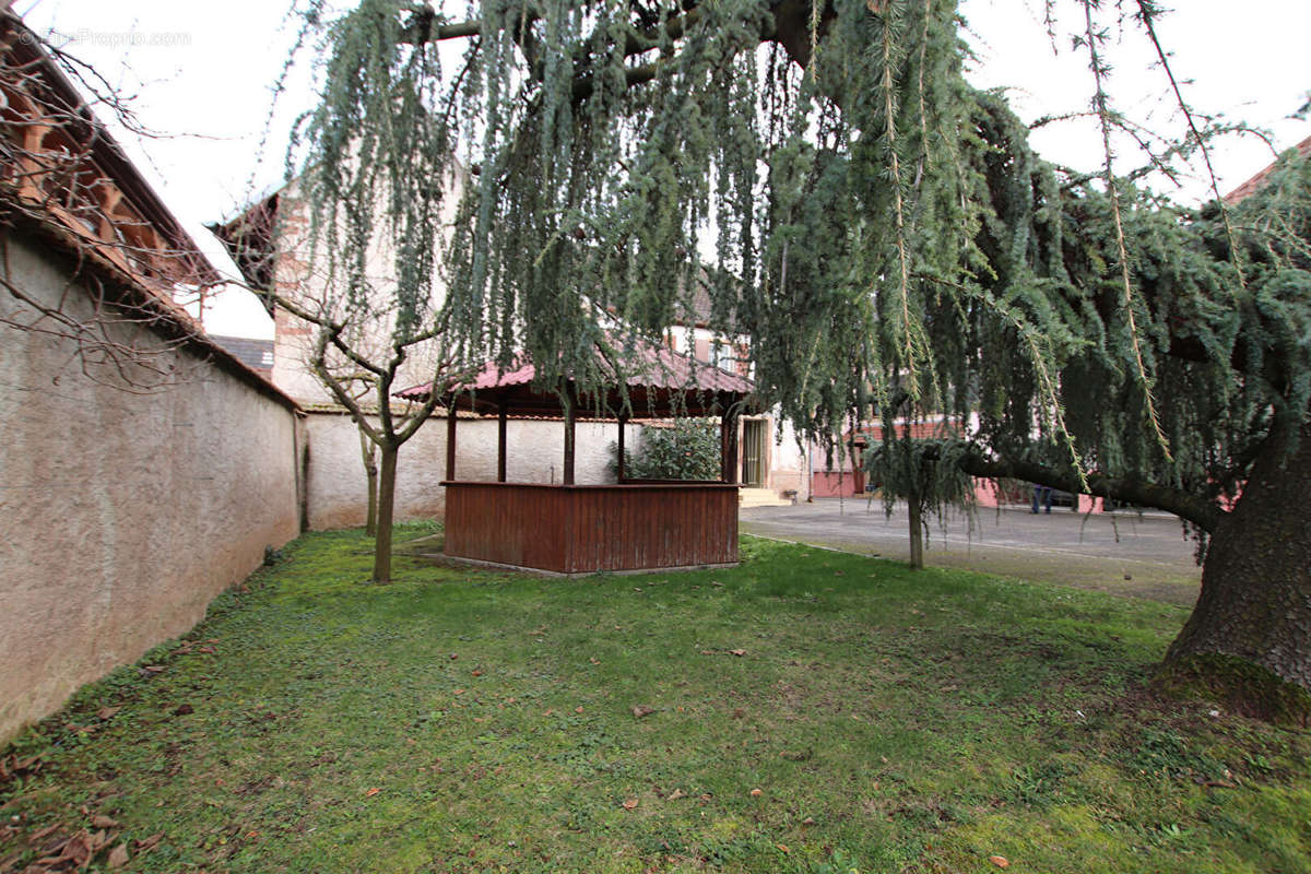 Maison à KIRCHHEIM