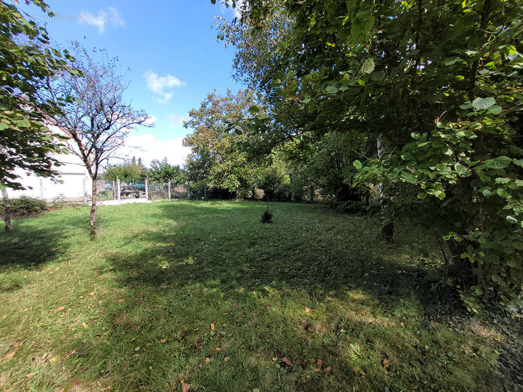 Terrain à ORLEANS