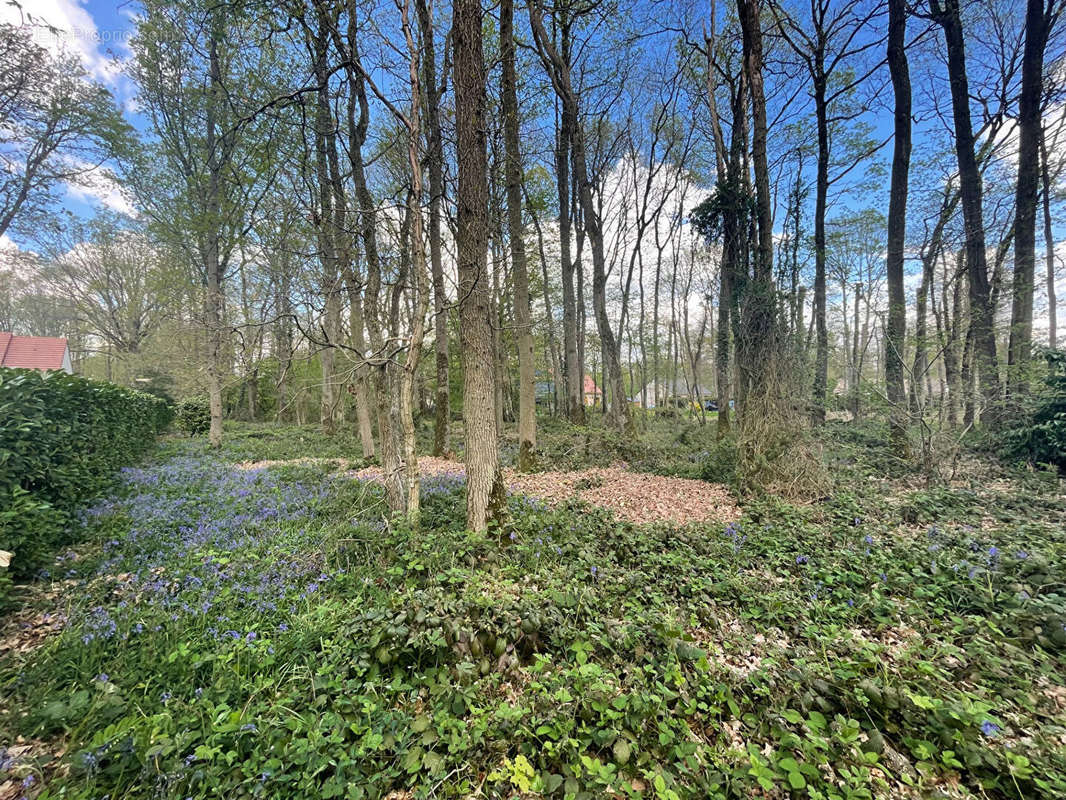 Terrain à FERRIERES-HAUT-CLOCHER