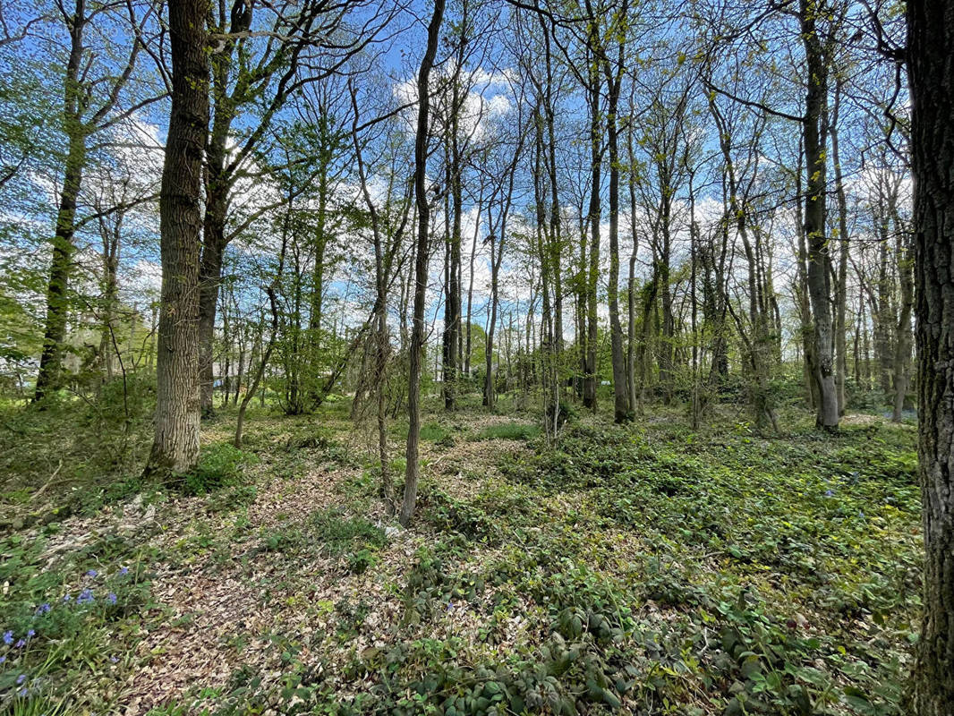 Terrain à FERRIERES-HAUT-CLOCHER