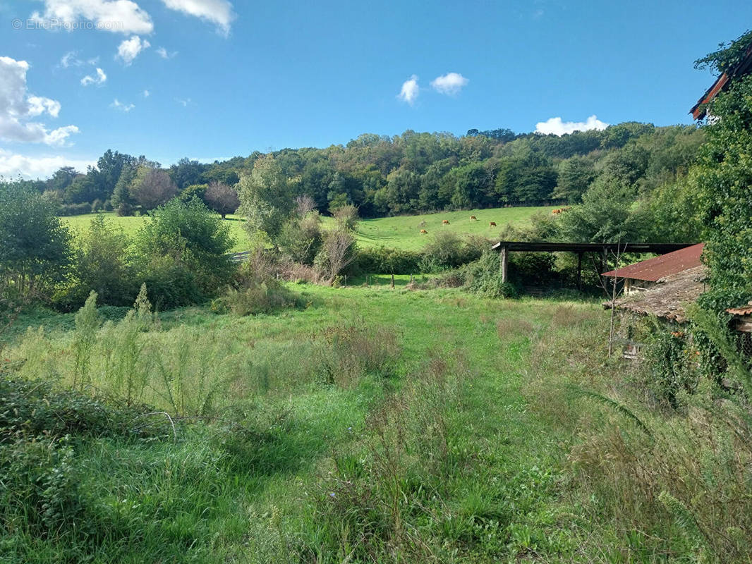 Maison à JARDIN