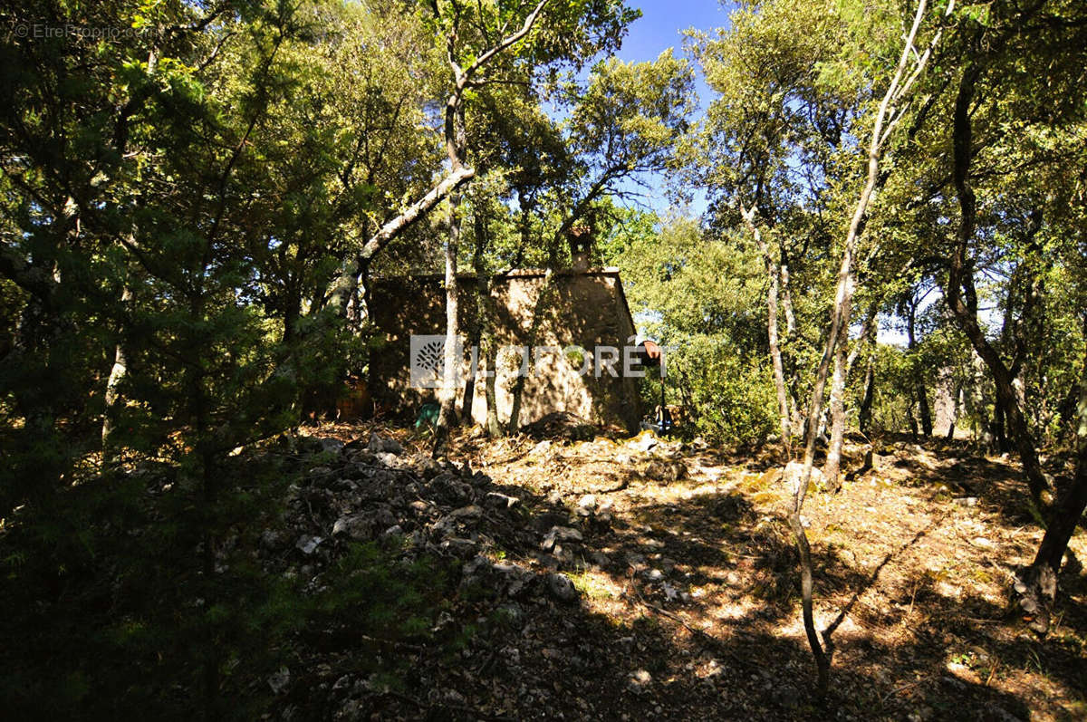 Maison à SAINT-MAXIMIN-LA-SAINTE-BAUME